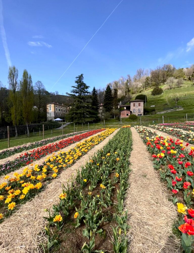 Kaiser FarmHouse - Benessere come culto e coltivazione